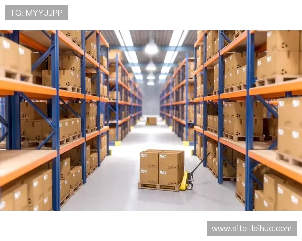 体育跨境电商物流效率优化，海外仓建设支撑品牌出海战略。