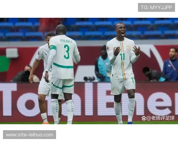 塞内加尔1-0尼日利亚,非洲杯决赛门票到手 塞内加尔1-0尼日利亚,非洲杯决赛门票到手